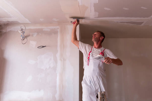 Best Drywall Texturing  in Lealman, FL